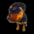 /album/cachorros-narigudos/puppy-10-png/
